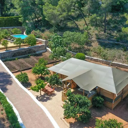 Oasis Complex *